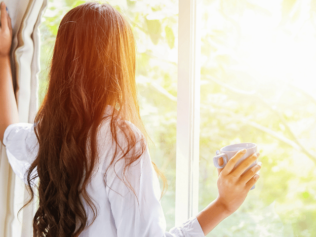 癒しと浄化の象徴であるセージが 経営者の在り方を そっと映し出す 大阪の花読み®カウンセリング