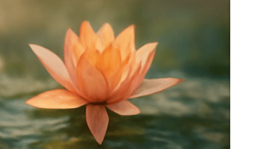 静かだけれど退かない日本の底力を、経営者の立ち位置と重ねて表現した大阪カウンセリング発信向けビジュアル