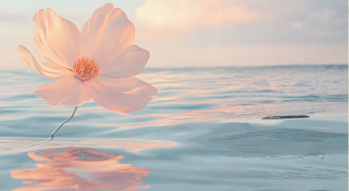 経営者が感じ取る時代の転換点を表現した大阪発のカウンセリング的視点のイメージ