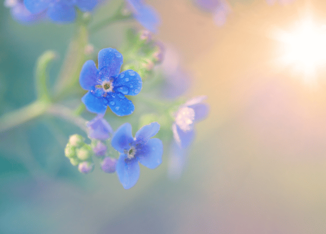 孤独を感じやすい経営者に向けた 潜在意識の前提を書き換えるためのメッセージ 大阪の経営者カウンセリングの文章