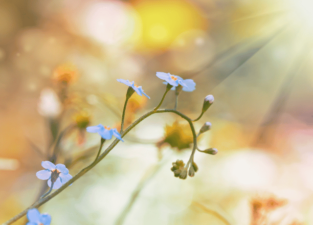 孤独を感じやすい経営者に潜在意識を書き換える 大阪の経営者カウンセリングの文章