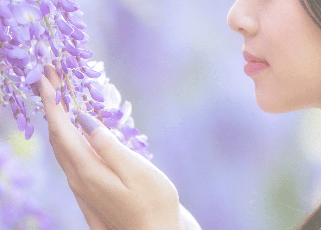 経営者 カウンセリング 大阪 花読み® 藤の花