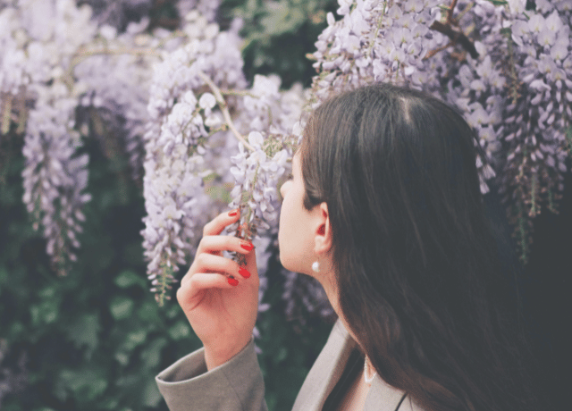 人間関係に疲れたとき読む 藤の花のやさしい物語