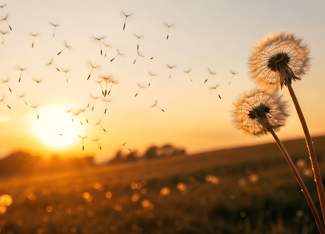 がんばり続けてきた経営者へ 在り方を整える花読み®カウンセリング 大阪