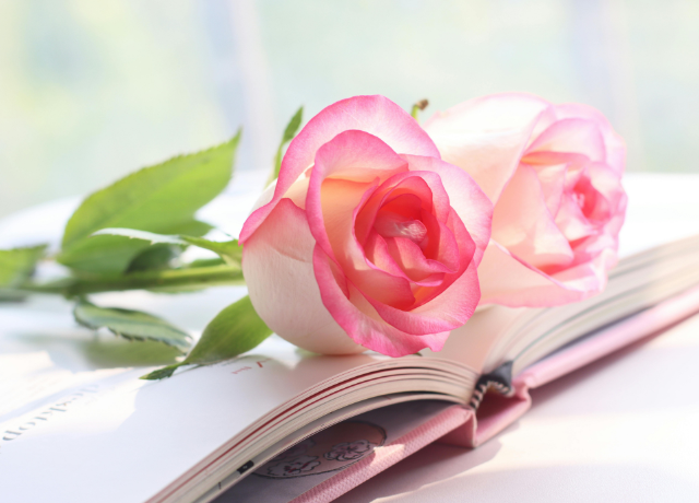 人と比べる苦しさから解放される薔薇の物語 女性経営者向け花読み®カウンセリング 大阪