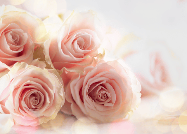 内側の豊かさに気づく薔薇の花おみくじ 花読み® 経営者 カウンセリング 大阪