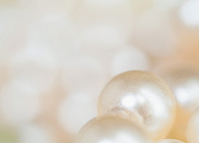 ハナミズキの花が これまでの歩みと癒しをそっと包む 大阪の経営者向けカウンセリングの物語